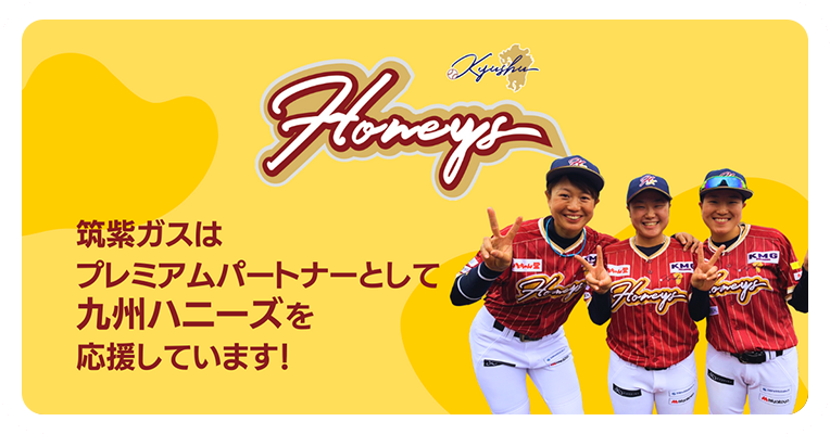 九州ハニーズ