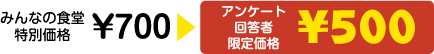 アンケート回答者限定価格 ¥500